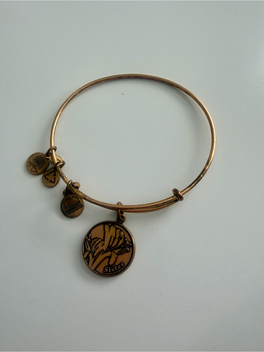 Alex and Ani: Gold Sister Charm Bangle Bracelet
